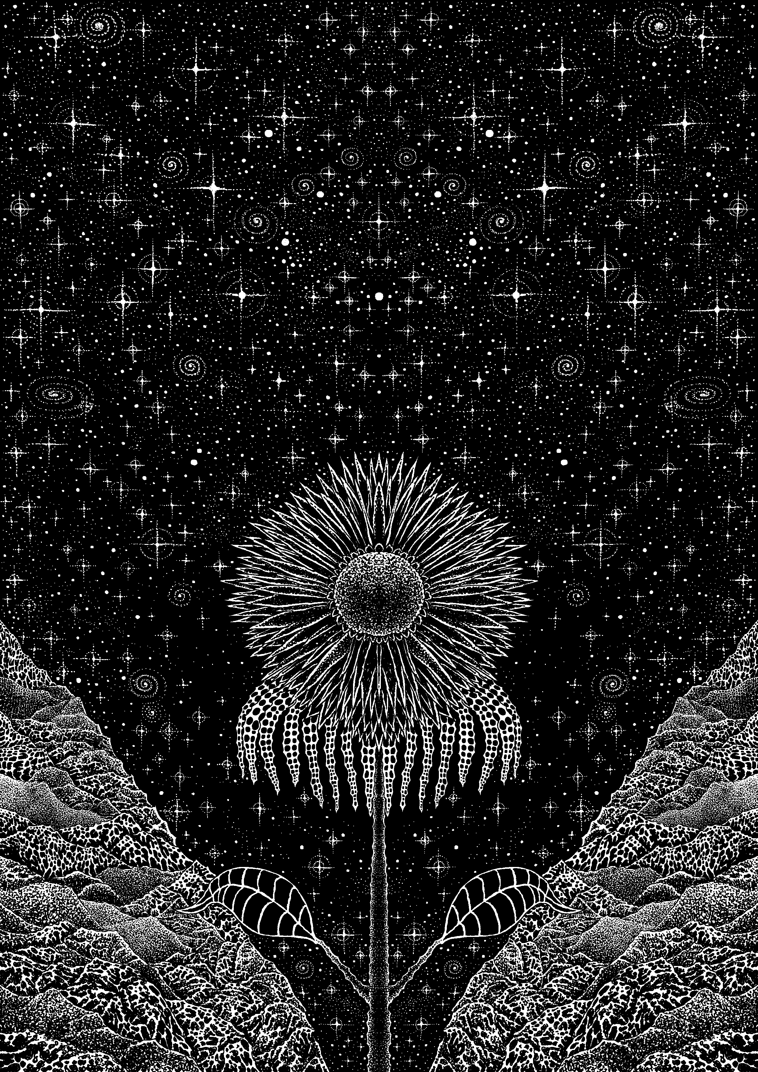  julien brunet